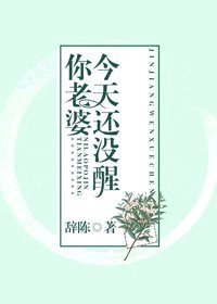《你老婆今天还没醒》
