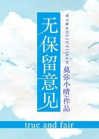 无保留意见