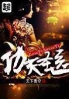 《功夫圣医》