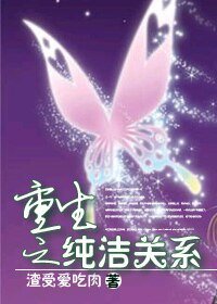 《重生之纯洁关系》