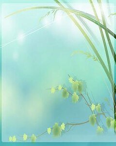 《我愿等你》