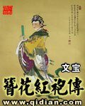 《簪花红袍传》