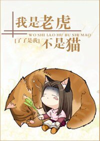 《小男人的娇宠-我是老虎不是猫(高干)》