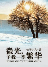 微光，予我一季繁华