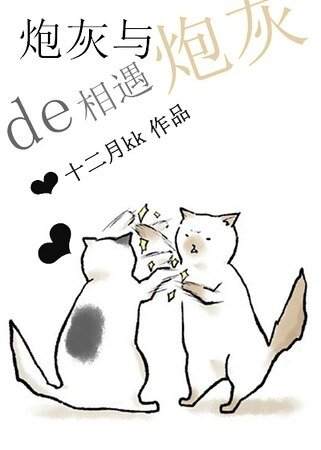 《炮灰与炮灰的相遇》