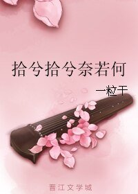 拾兮拾兮奈若何
