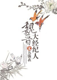《魏晋大经纪人》