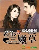 《老牛与嫩草,反攻略计划》