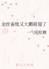 《金丝雀他又大鹏展翅了》