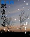 《飘雪传奇》
