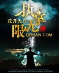 《执掌无限》