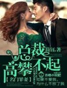 《名门罪妻,总裁高攀不起》