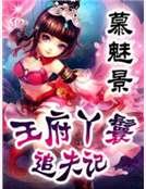 《王府丫鬟追夫记》