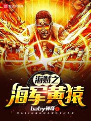 《海贼之海军黄猿》