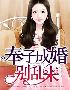 《奉子成婚,别乱来》