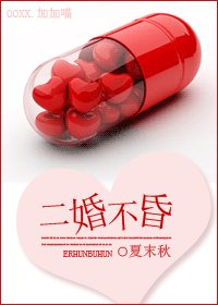 《二婚不昏(婚恋)》
