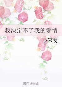 我決定不了我的愛情