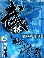 《武林高手现代横行》