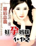 《幕后总裁:好孕妈咪1+1》
