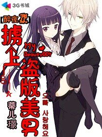 醉夜欢:掳上盗版美男