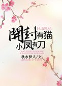 《开封有猫,小凤有刀》