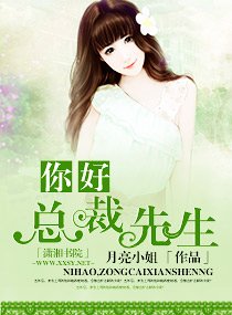 你好,总裁先生