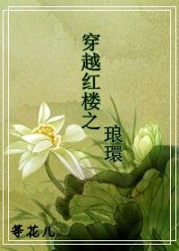《(红楼梦同人)穿越红楼之琅环》