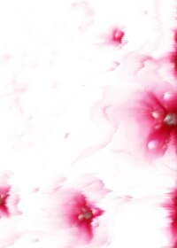 《相思泪》