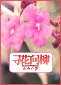 《何寻,何寻》