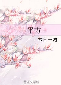 《一平方》