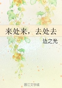 《来处来,去处去》