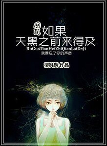 《如果天黑之前来得及》