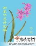 《卿本不愿为爱悔》