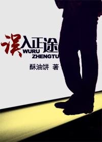 《误入正途》