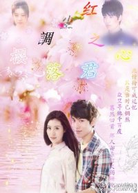 《(BG-综影视同人)红尘调之樱落君心》