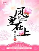 《凤皇在上》