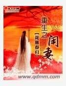 《重生之闲妻》