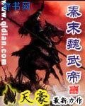 秦末魏武帝