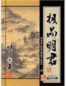 极品明君