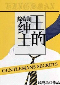 （BL-综英美剧同人）[综英美]王的绅士