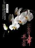 《三生有幸,遇见你》