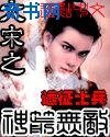 《大宋之神箭无敌》
