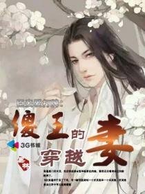 《臣妾爱打牌:傻王的穿越妻》