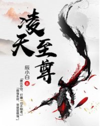 《凌天至尊》