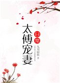 《太傅宠妻日常》
