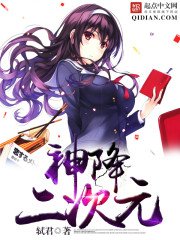 《神降二次元》