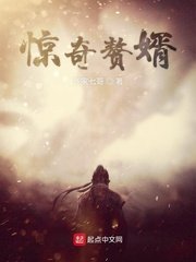 《惊奇赘婿》