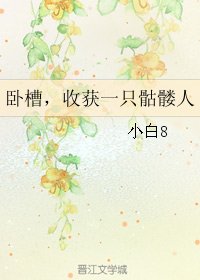 《(综同人)卧槽,收获一只骷髅人》