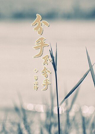 《分手不分手》