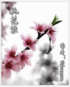 《桃花浪+梁上非君子+成化廿年春+百花最深处(桃花浪系列)》